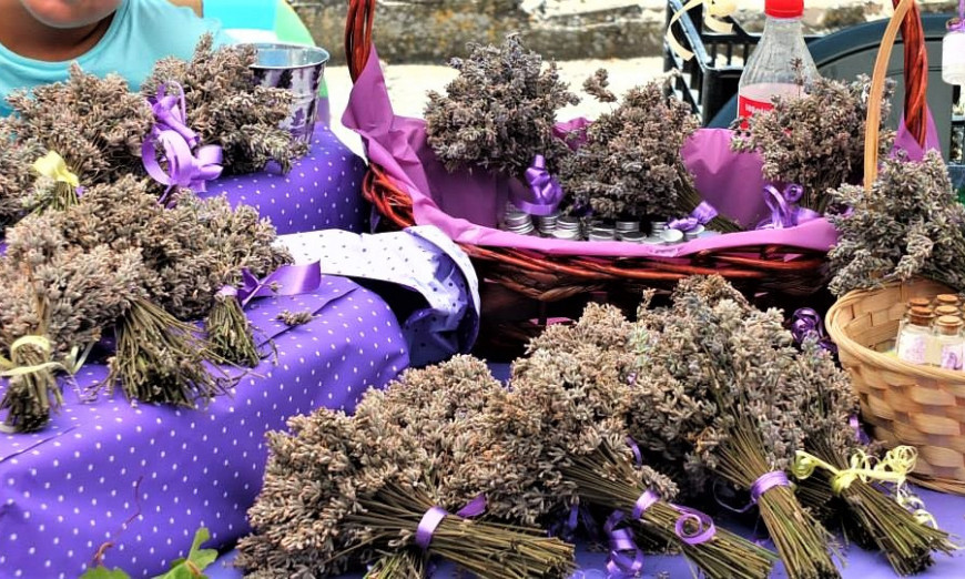 #80467: Фестивал на лавандулата