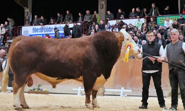 Юргенд Кох с бикът рекордьор Тотилас