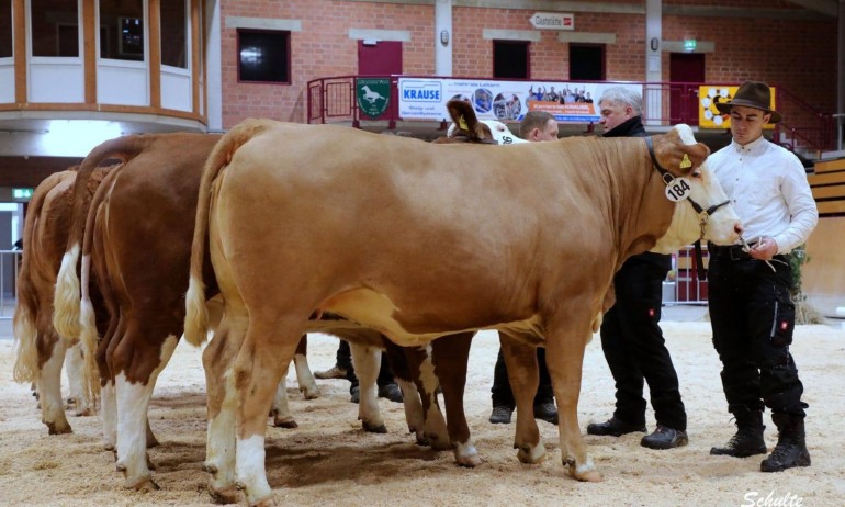 Йордан Василев по време на аукцион