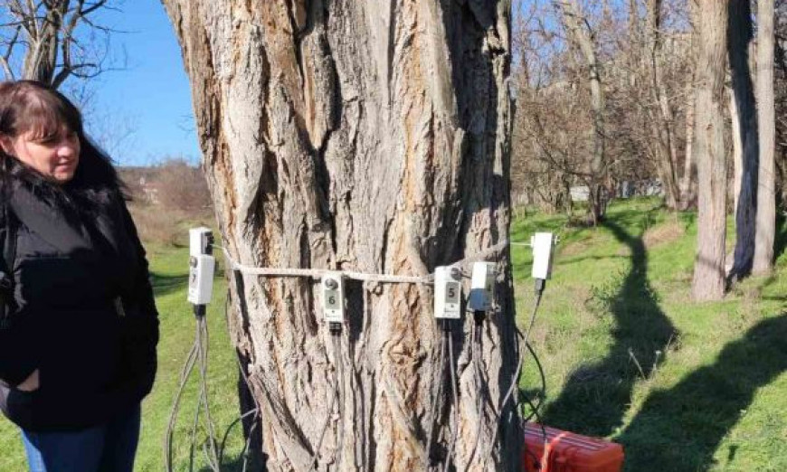 ИАГ томограф