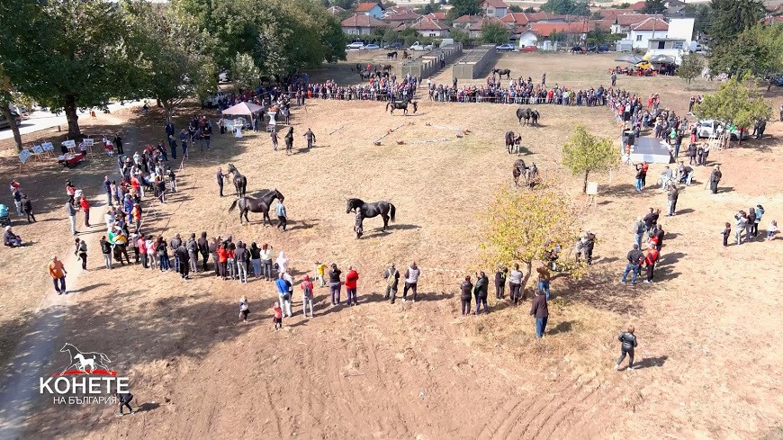 Конете на БГ