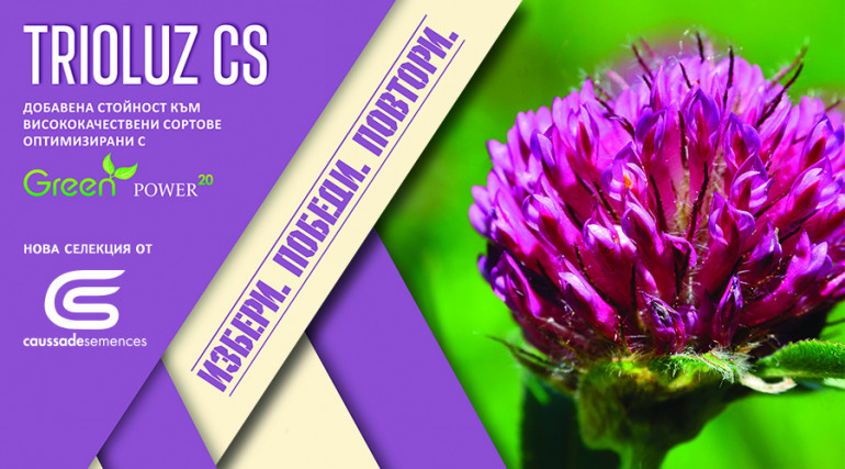 косад люцерна