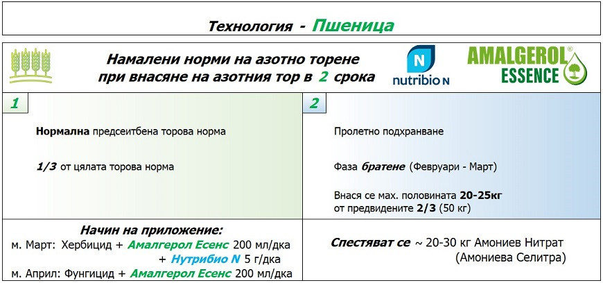 АМАЛГЕРОЛ ЕСЕНС пшеница2