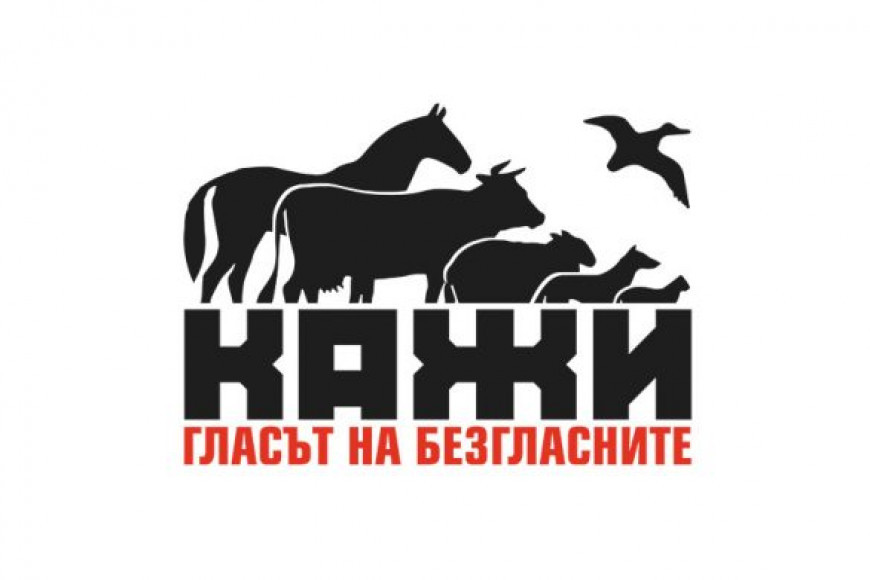 Сдружение КАЖИ