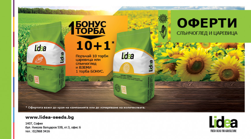 лидеа оферта 2022