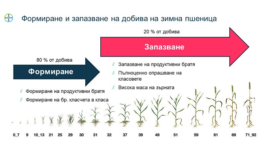 Мастър Клас