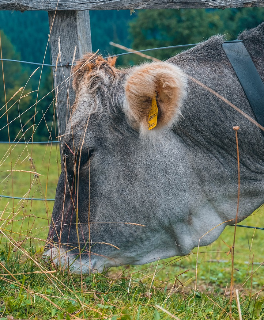 biofarm