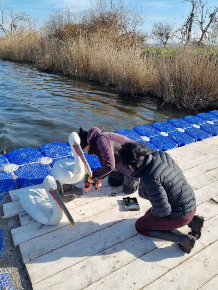 платформи пеликани