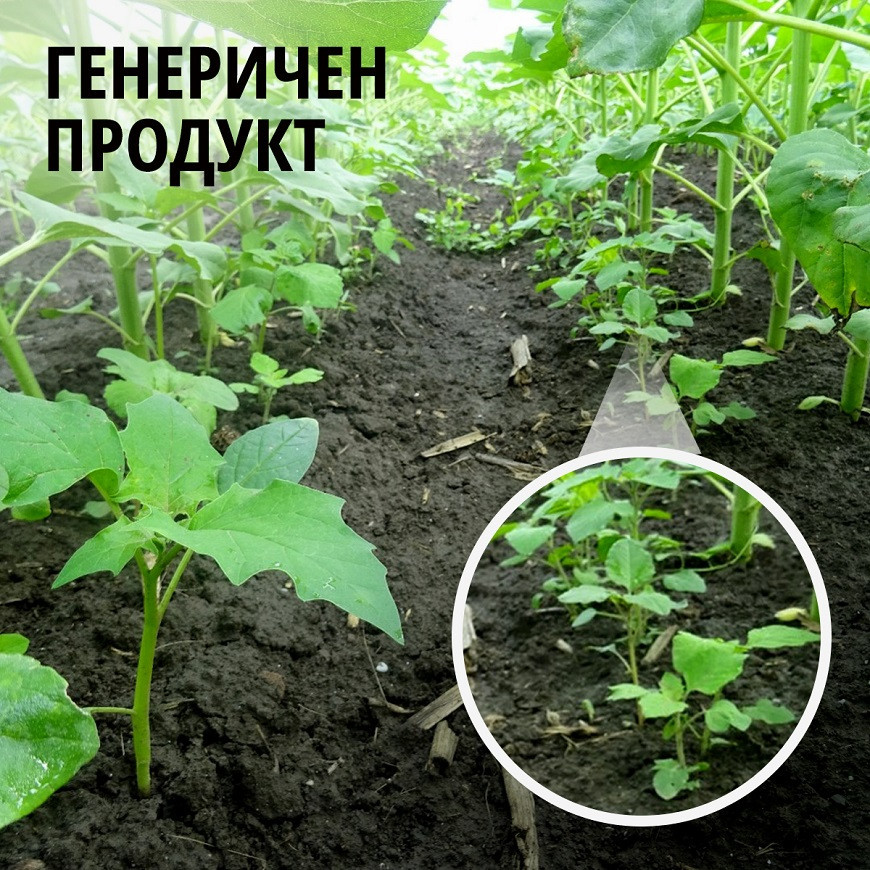 Синджента Генеричен продукт