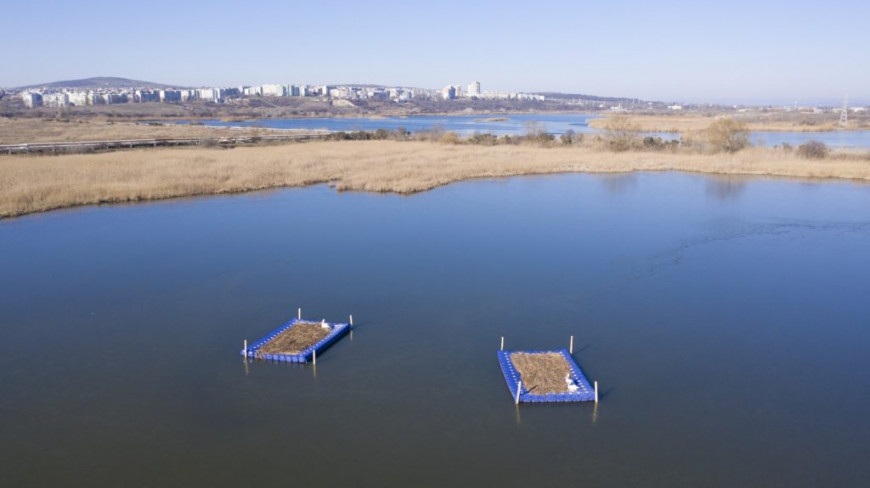 платформи Пода