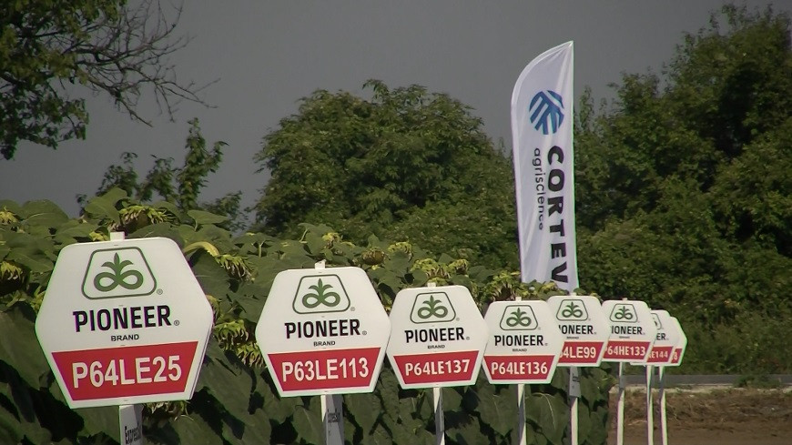 портфолиофарм