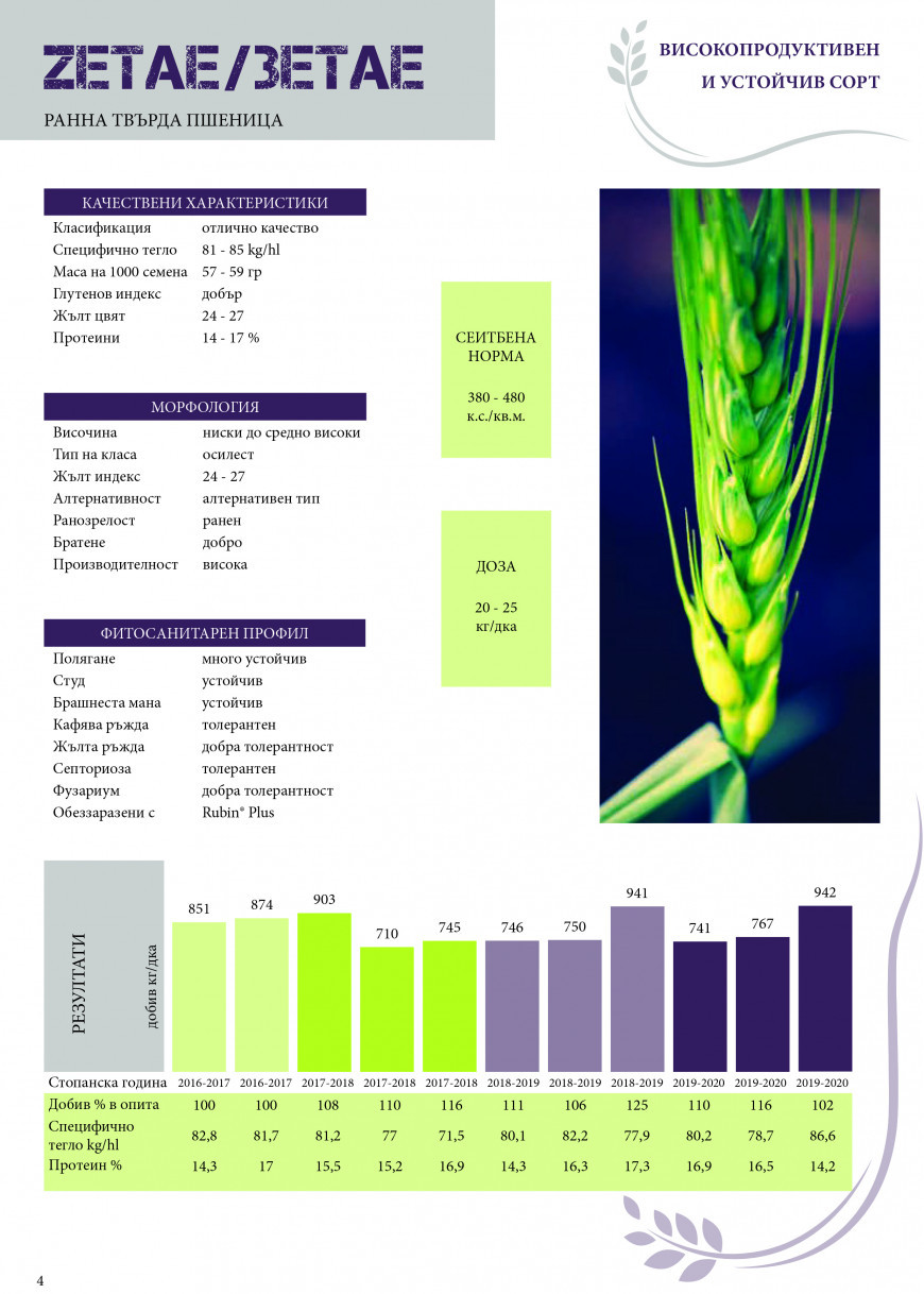 зетае манара