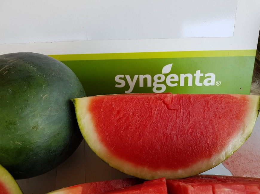 дини морена