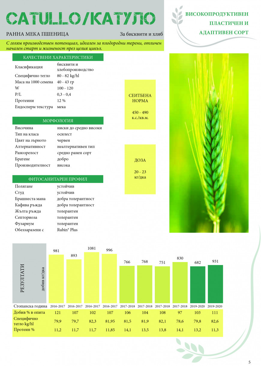 катуло манара