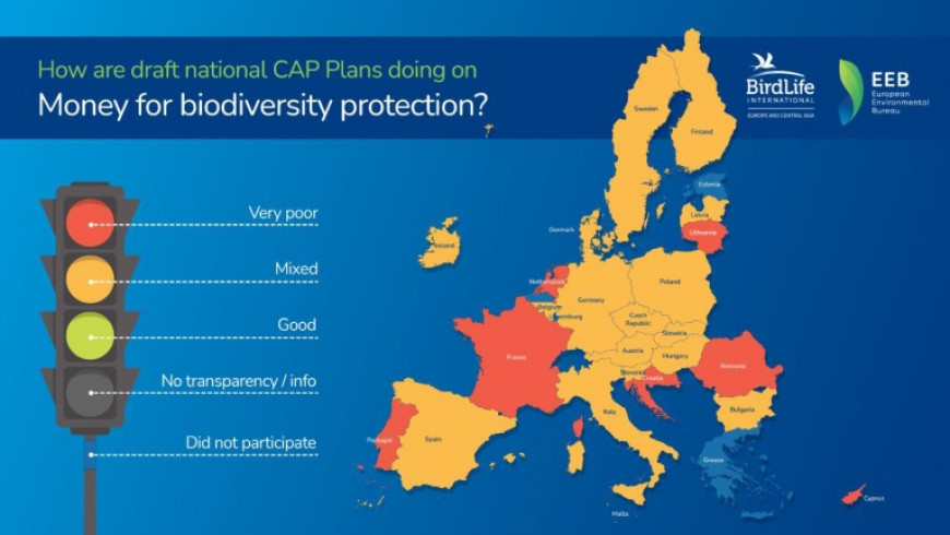 BirdLife Европа