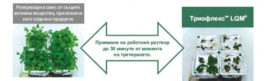 Третиране триофлекс