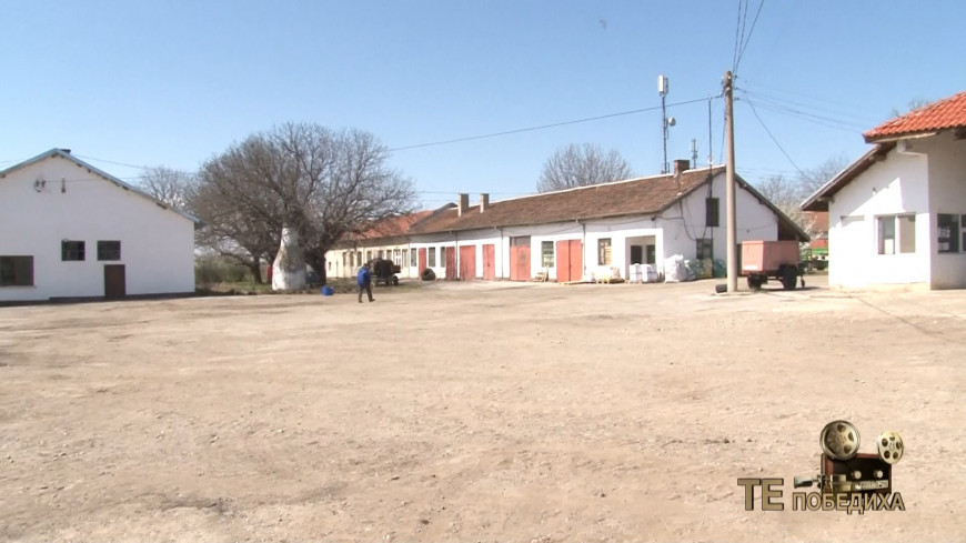 те победихя