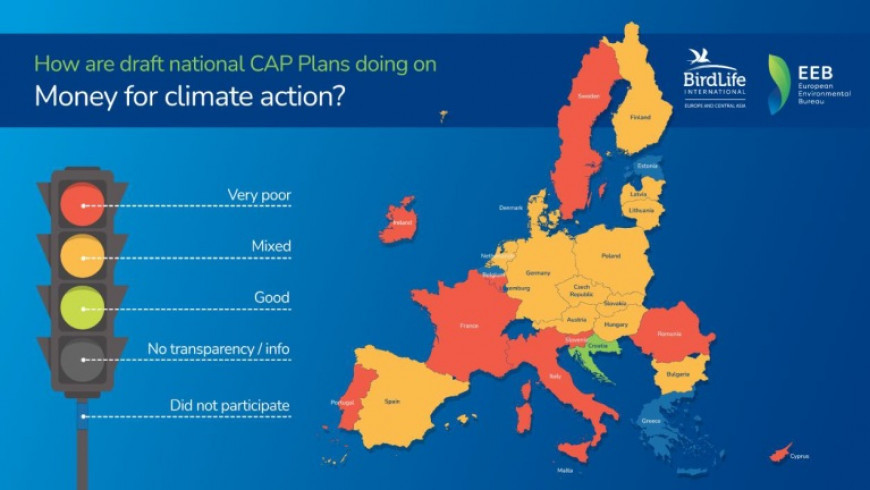 BirdLife Европа