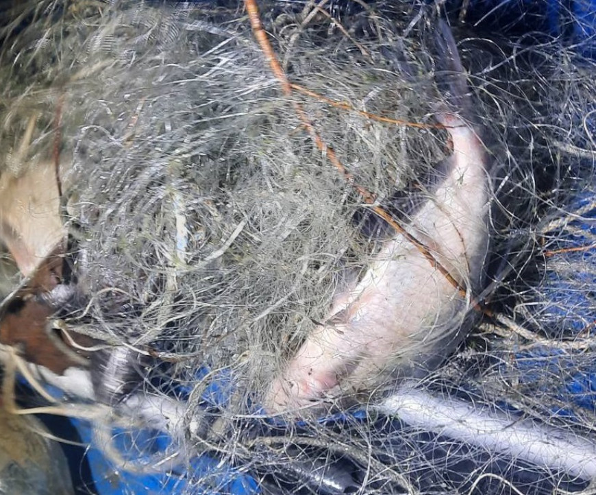 Проверки Плевен