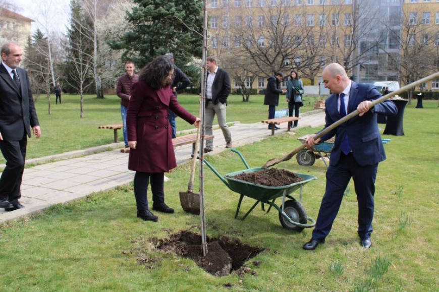 zalesqvane-sedmica-na-gorata-ltu