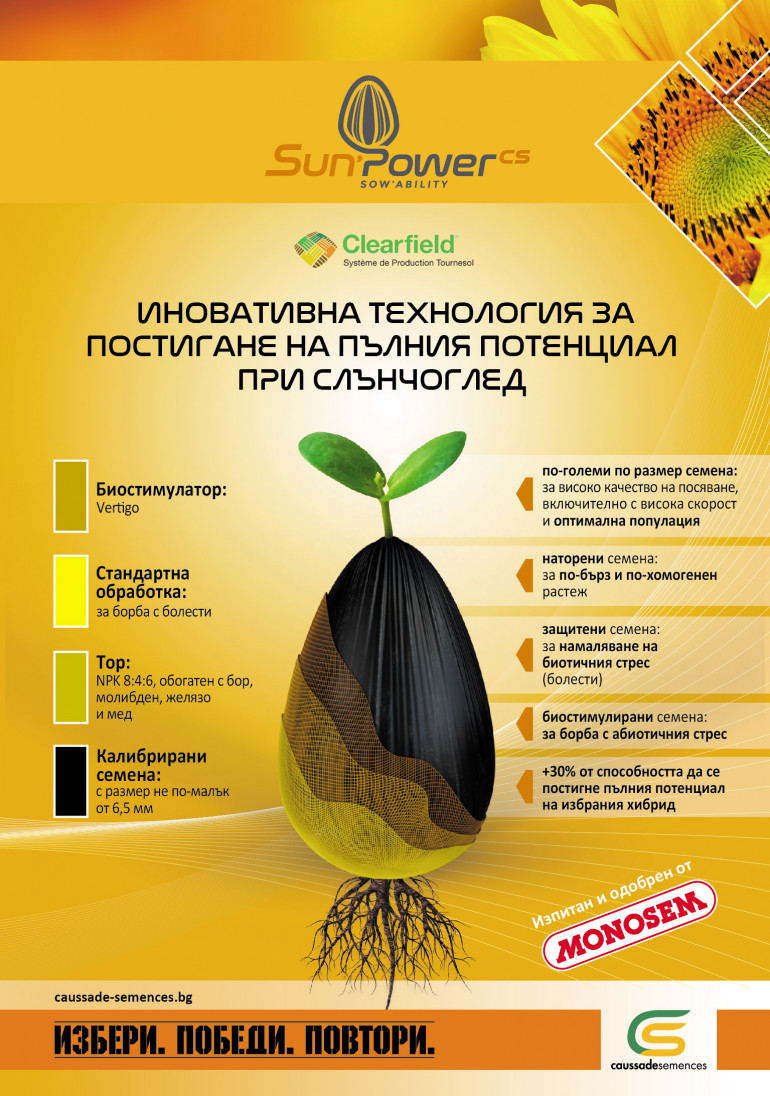 Технология Косад Семанс - слънчоглед