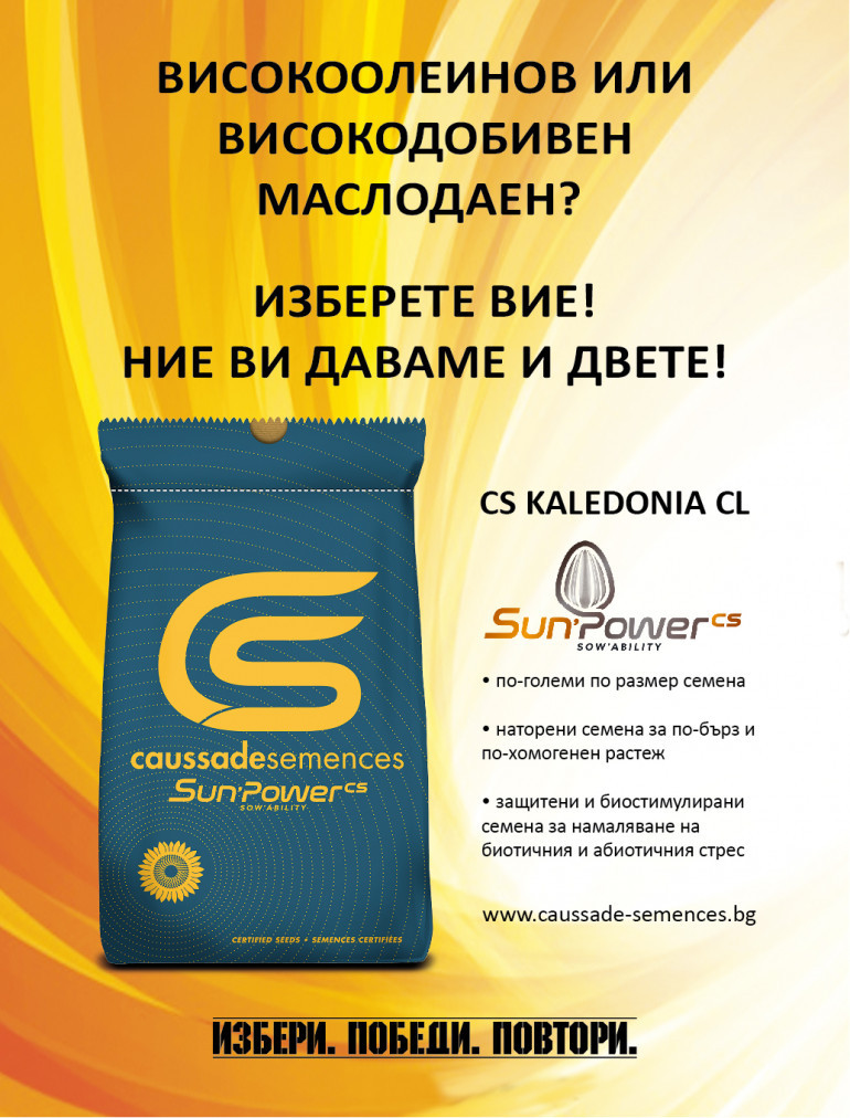 Косад Семанс -торба