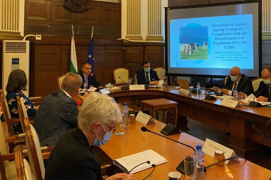делегация на анкетната комисия на Европейския парламент