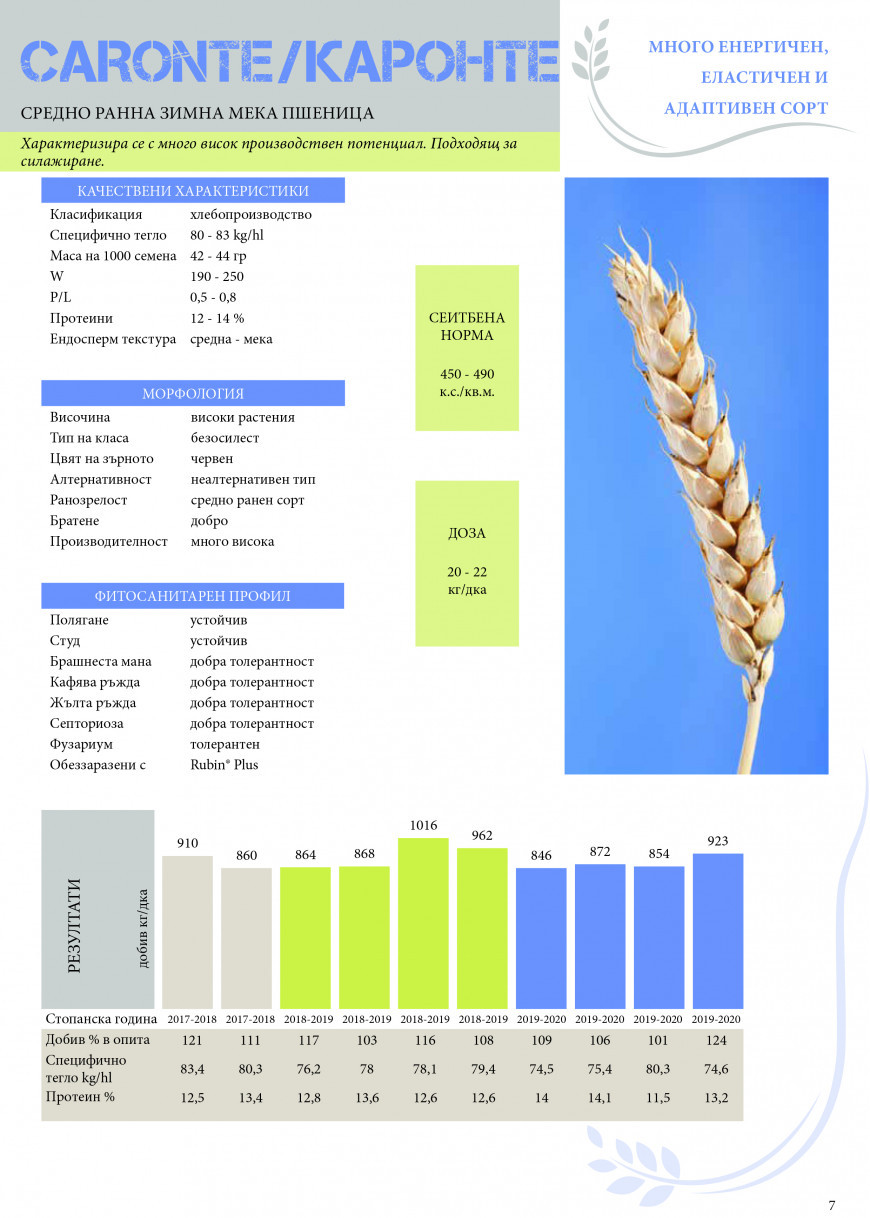 каронте манара