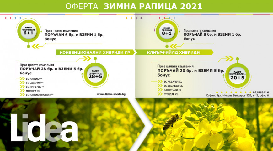 Лидеа оферта рапица