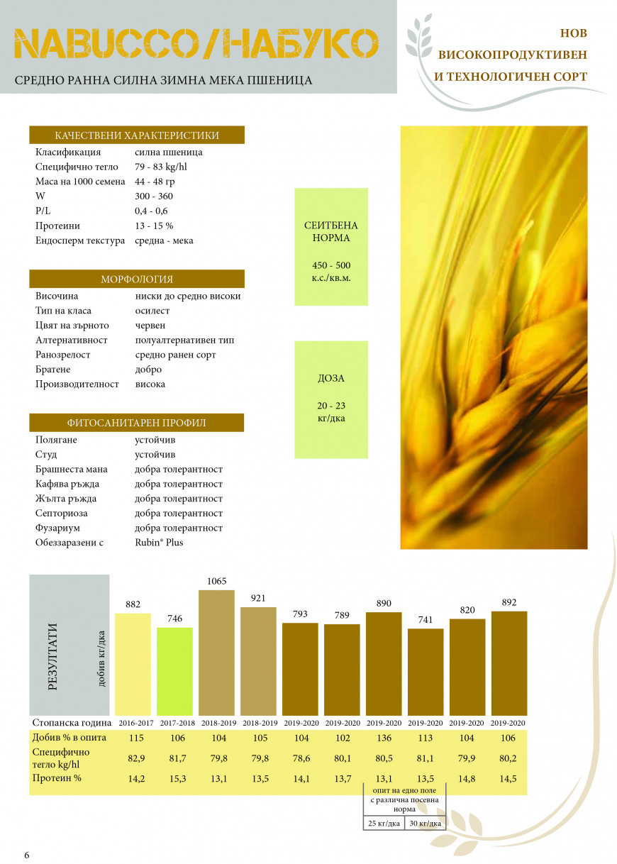 набуко манара