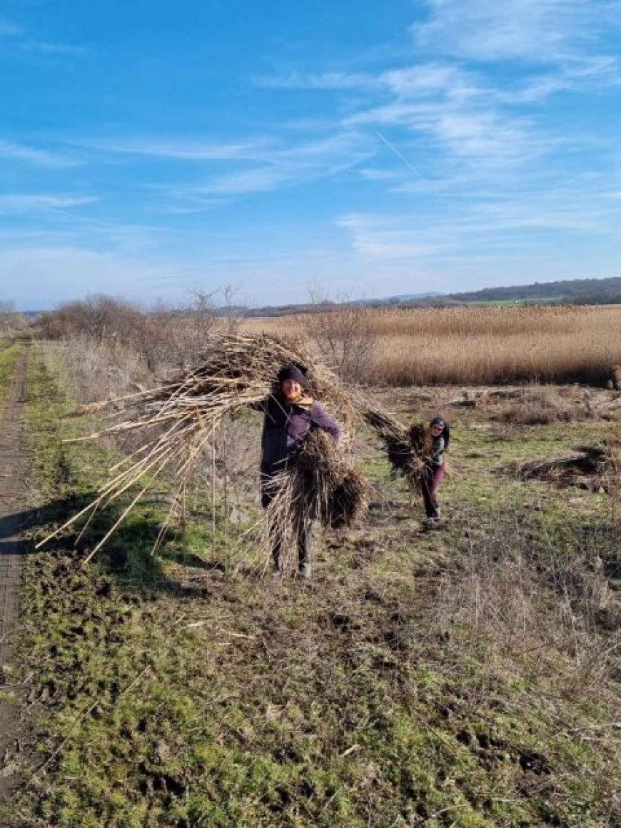 платформи пеликан