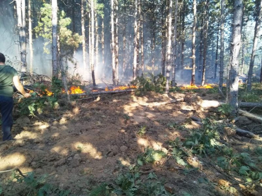 fire