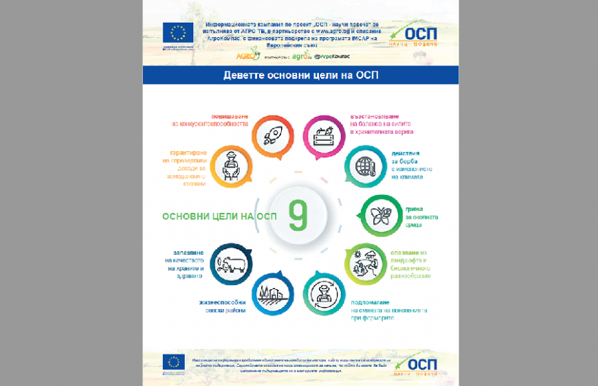 ОСП календар