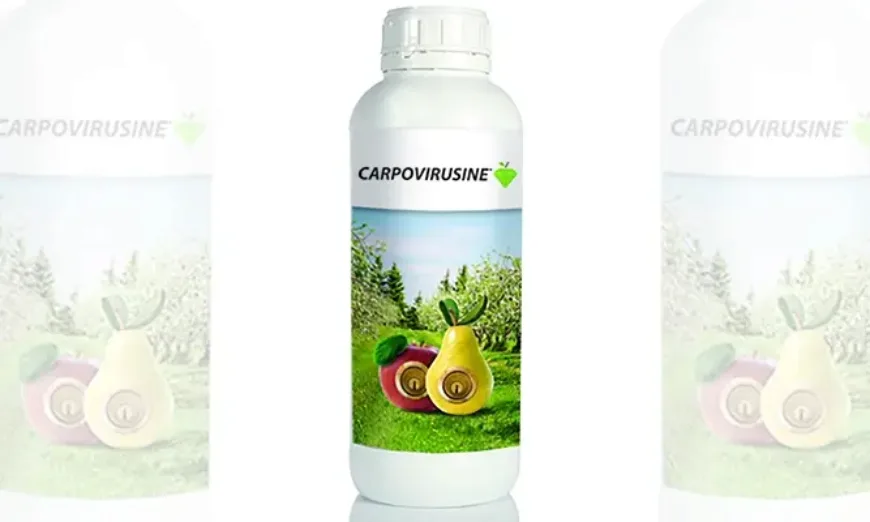 Карповирусин