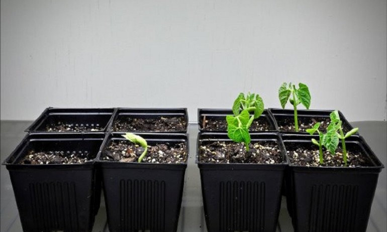 Масачузетския технологичен институт