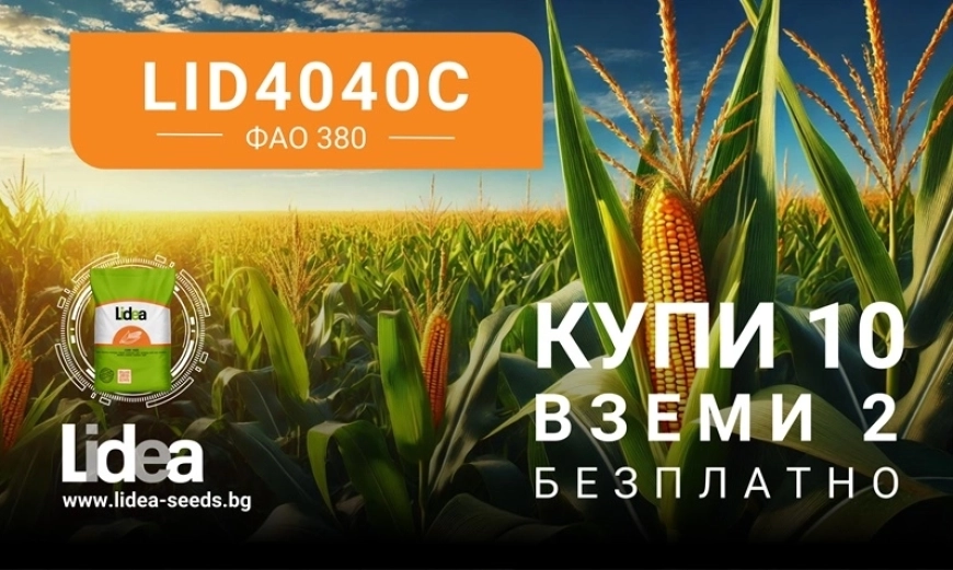 lidea 4040