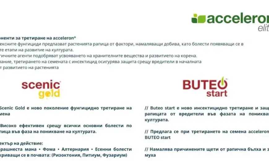 рапица-байер