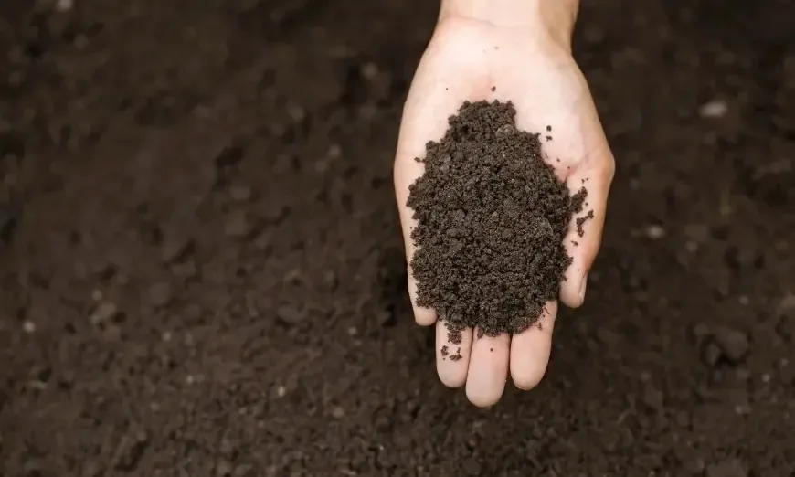 почвено варуване