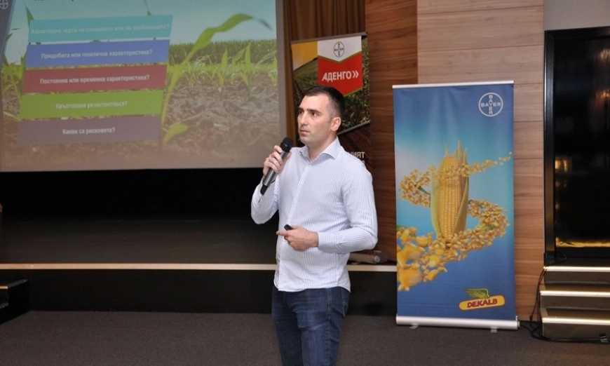 nikola-radovich-Bayer