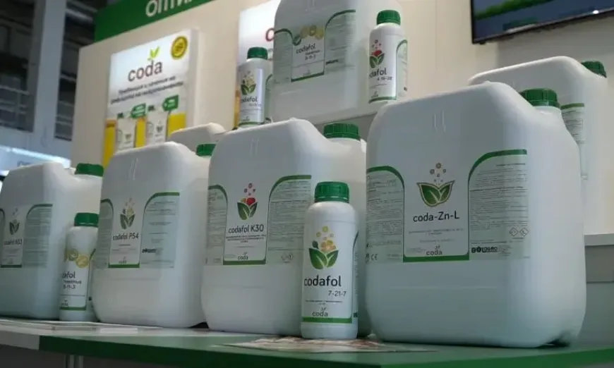 булагро-торове