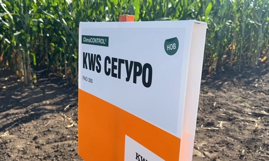 kws-seguro