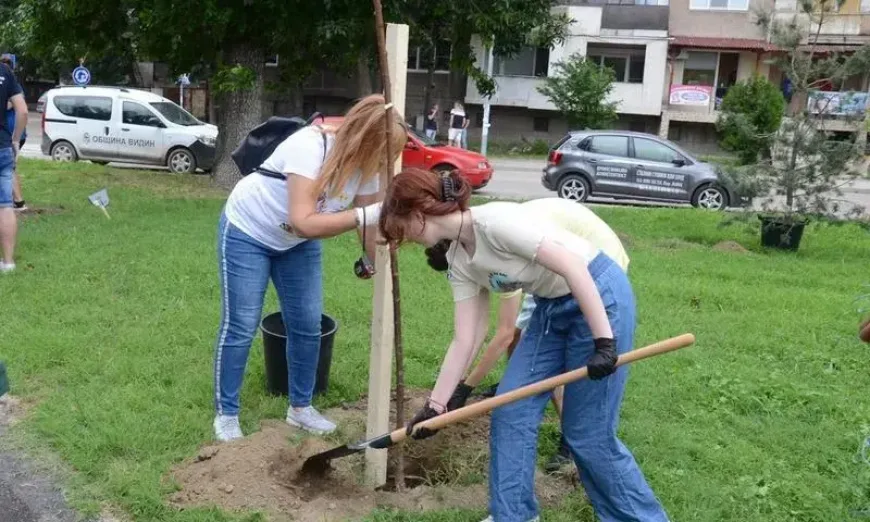 vidin-dravcheta