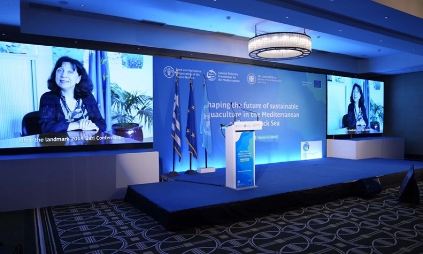 FAO-GFCM/