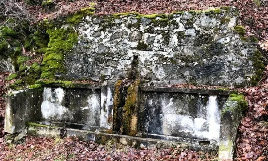 съживи чешам3