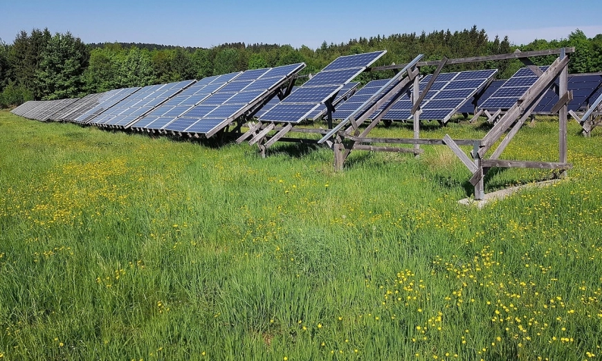 solar pasture