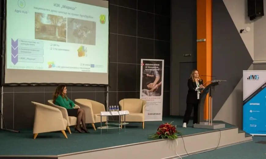 ivanka tringowska
