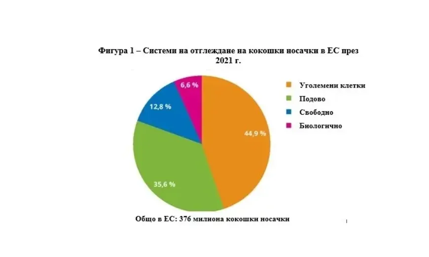 kokoshki