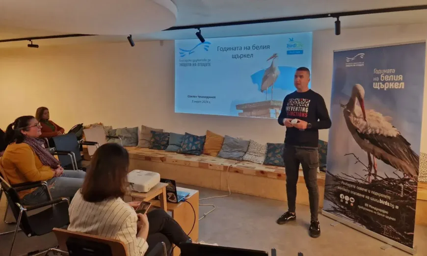 бдзп-щъркел