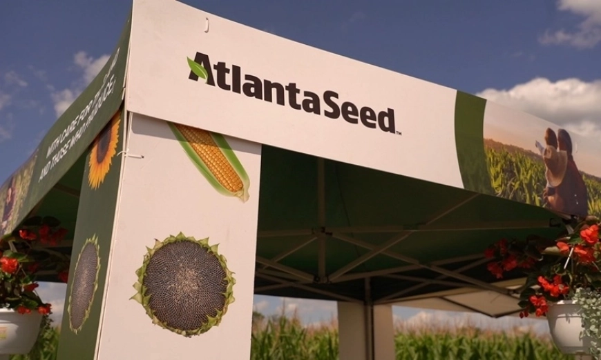 atlanta-seed-den-na-poleto