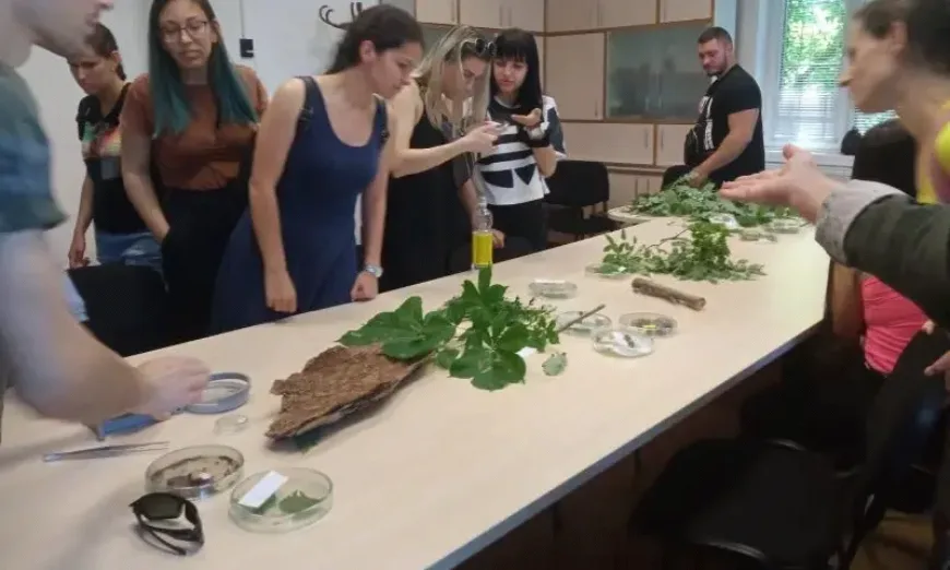ландшафтна архитектура